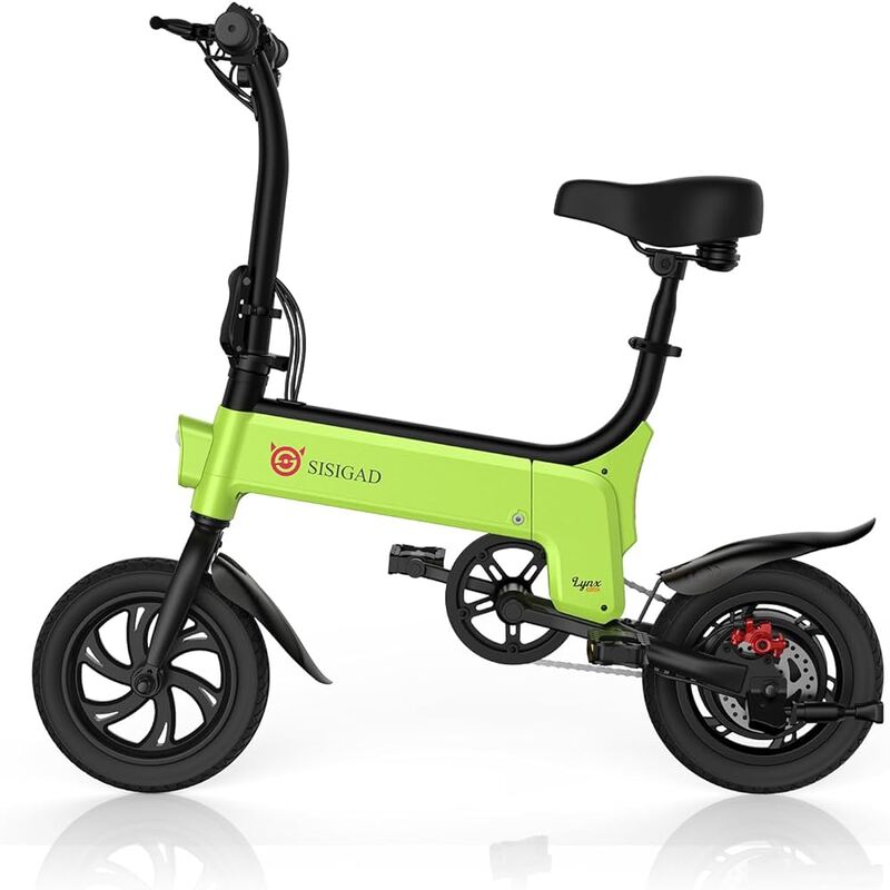 Electric Motor Bicycle