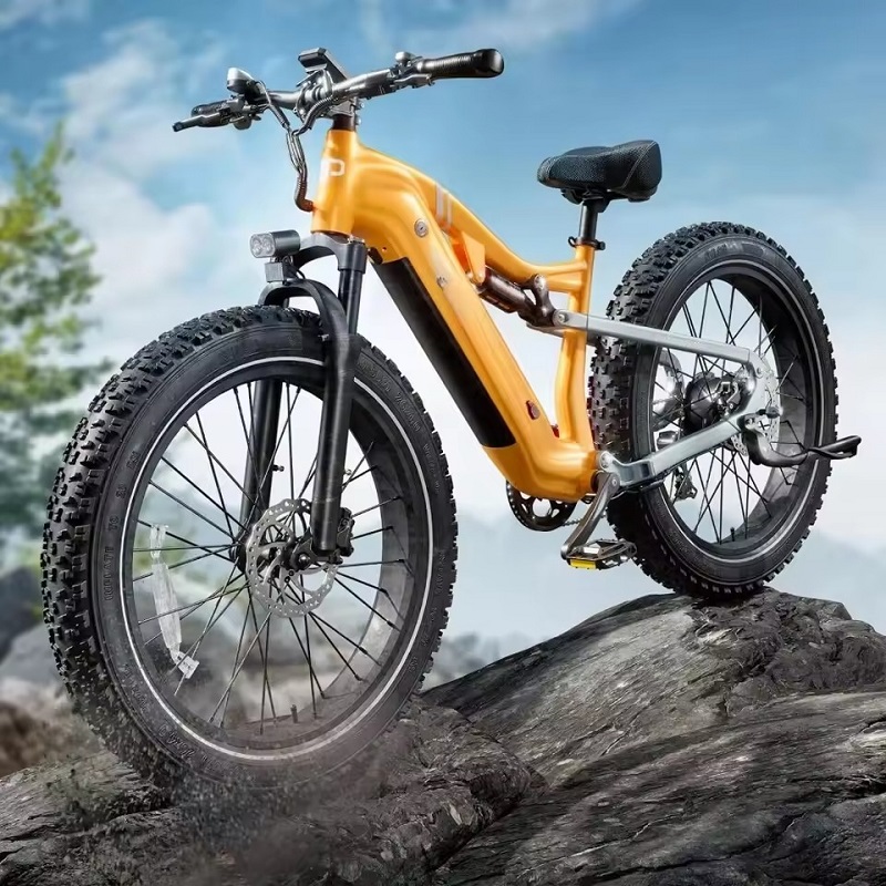 electric bicycles