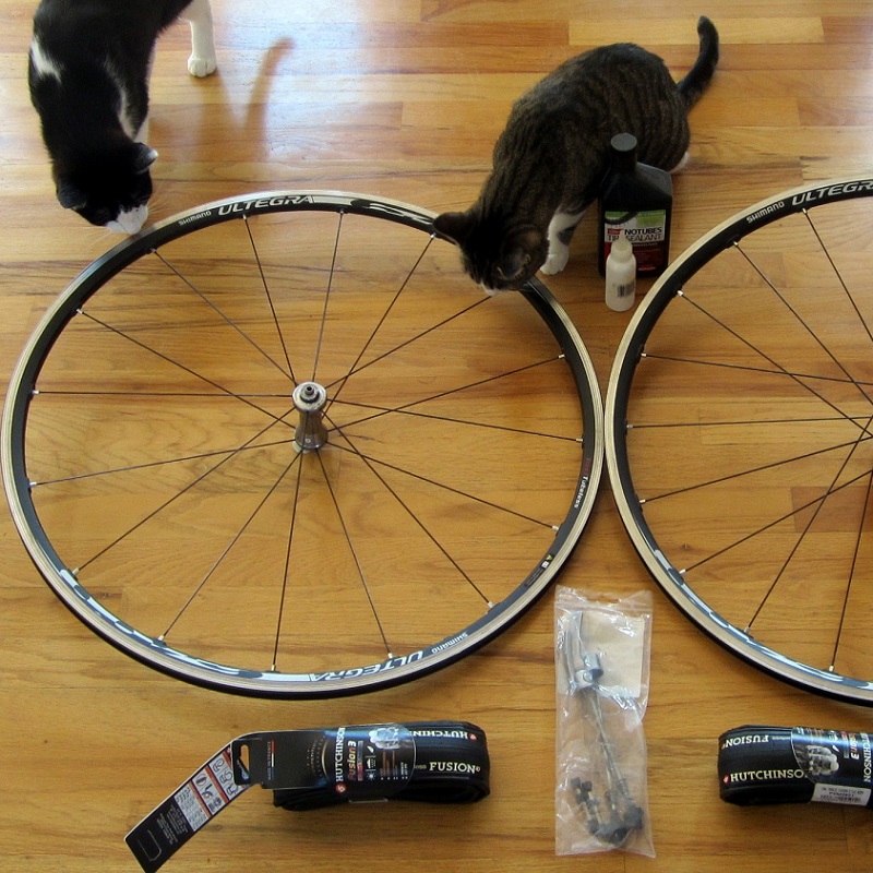 bike maintenance