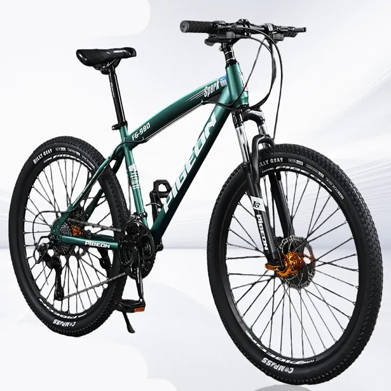 off road mini bikes for adults