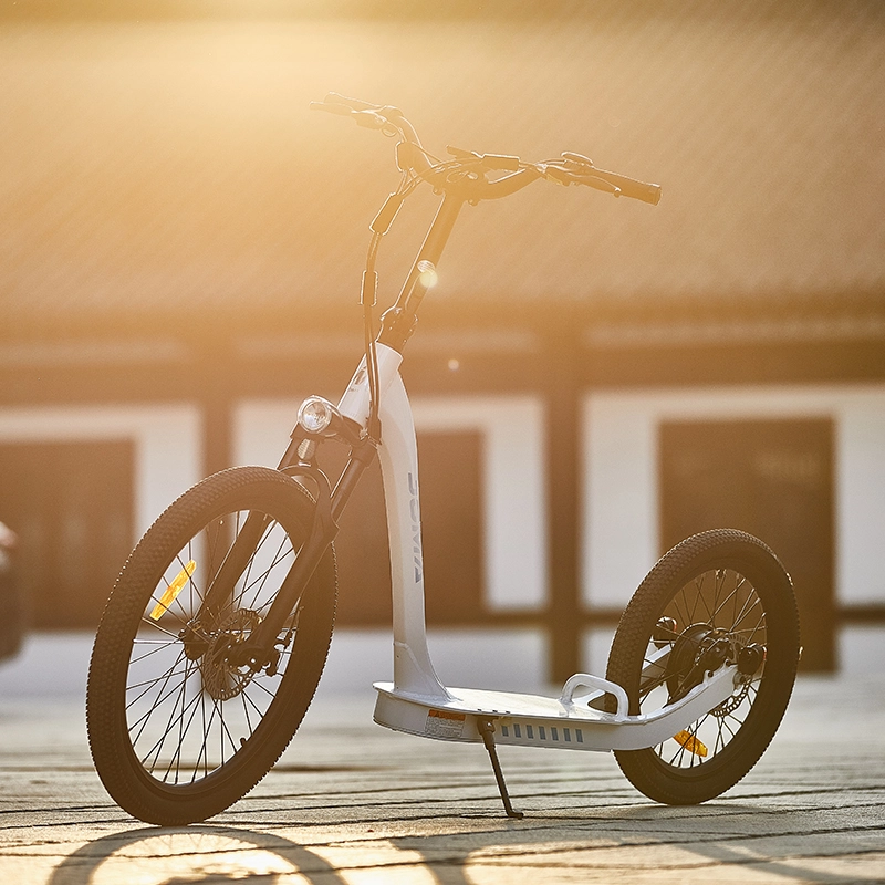 big wheel bicycle for adults