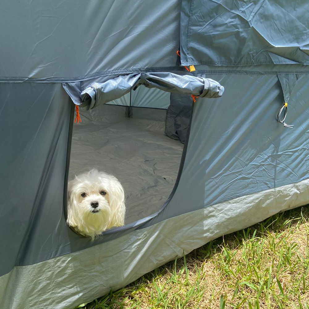 pet-door-transform-canopy-tent-ntk