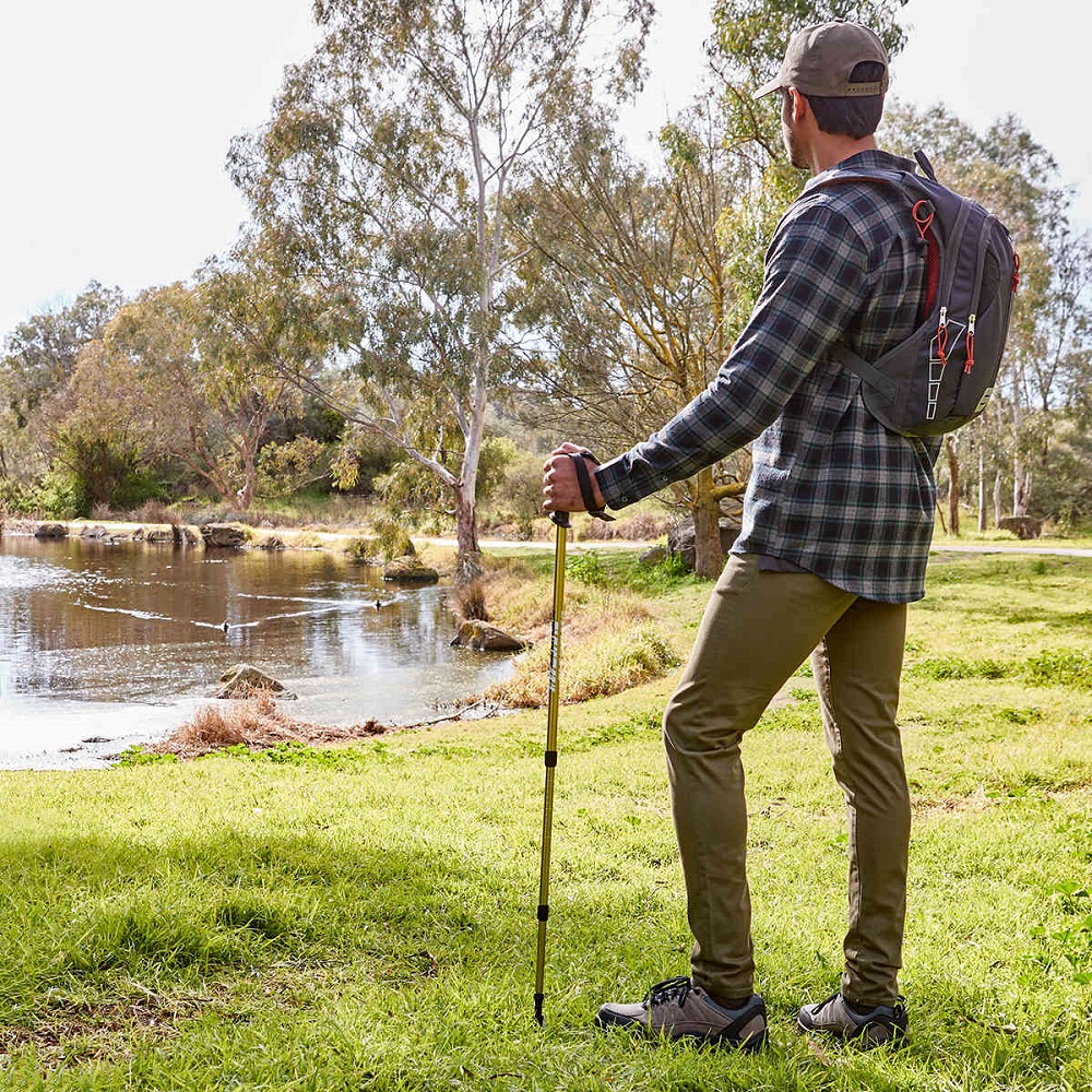 hiking sticks