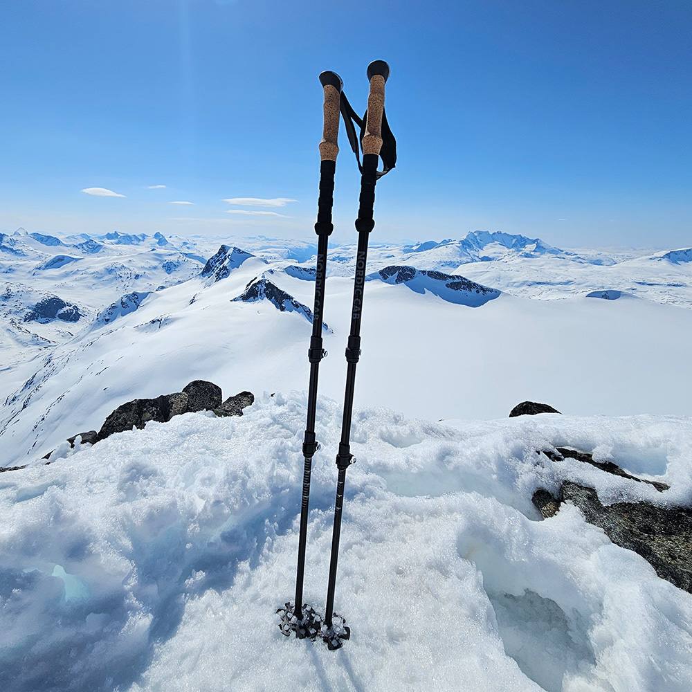 hiking stick