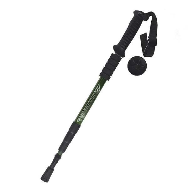 hiking stick