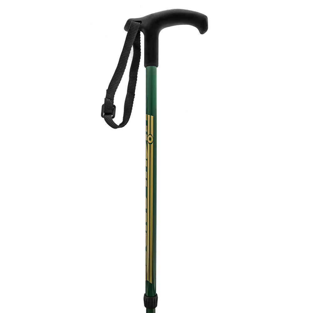 hiking stick