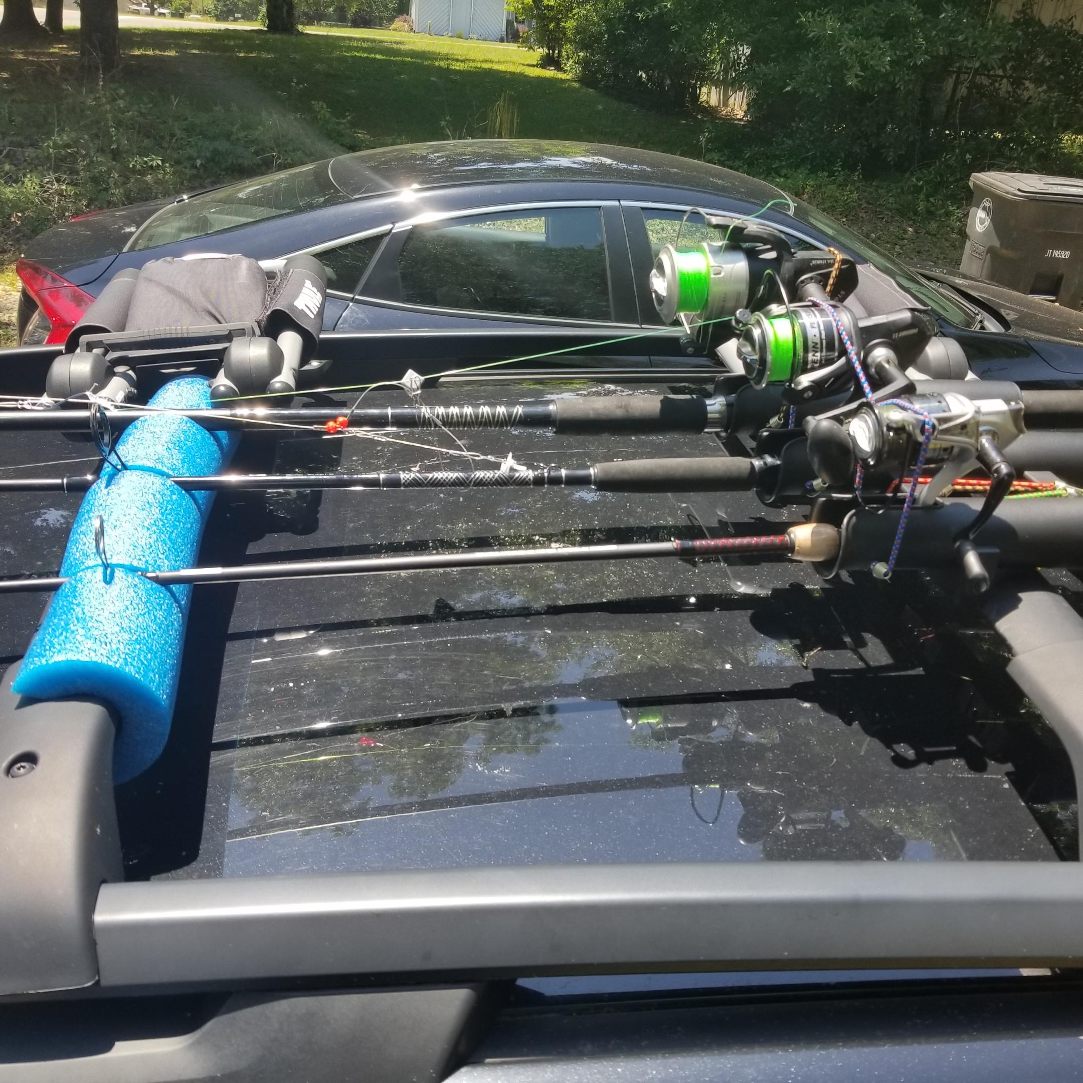 fishing rods