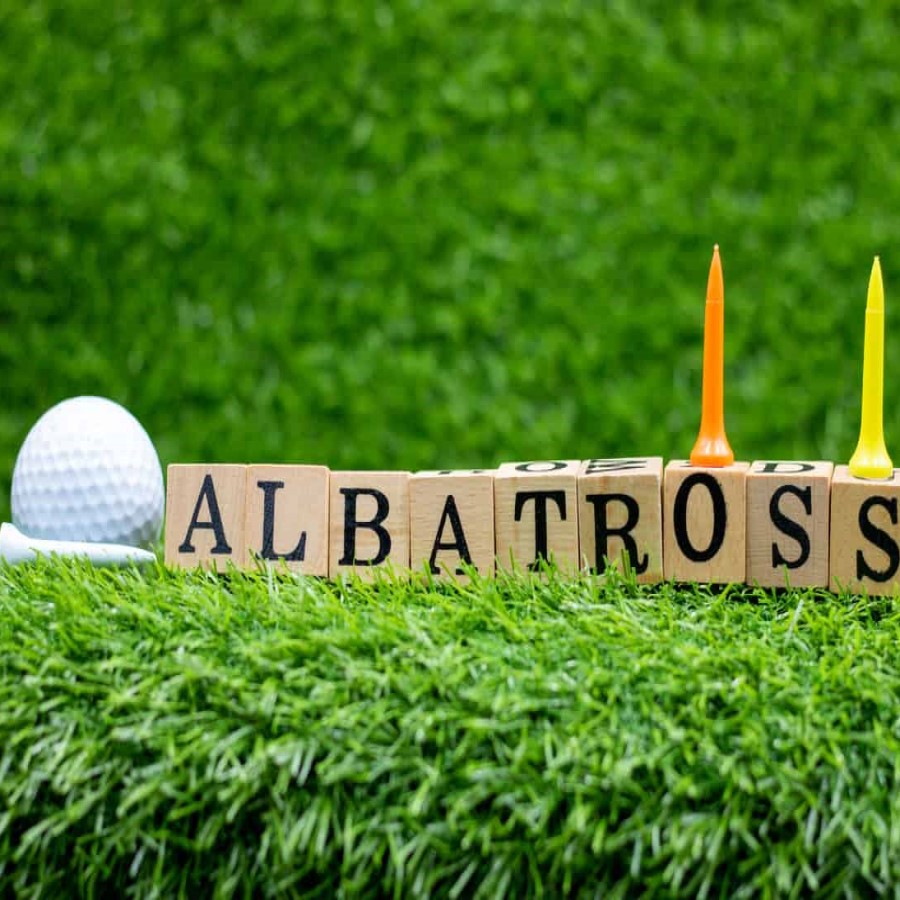 albatross golf