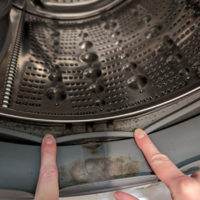 how to clean mold from washing machine